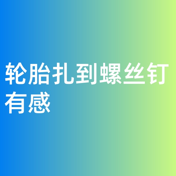 鈀碳回收，輪胎扎到螺絲釘有感