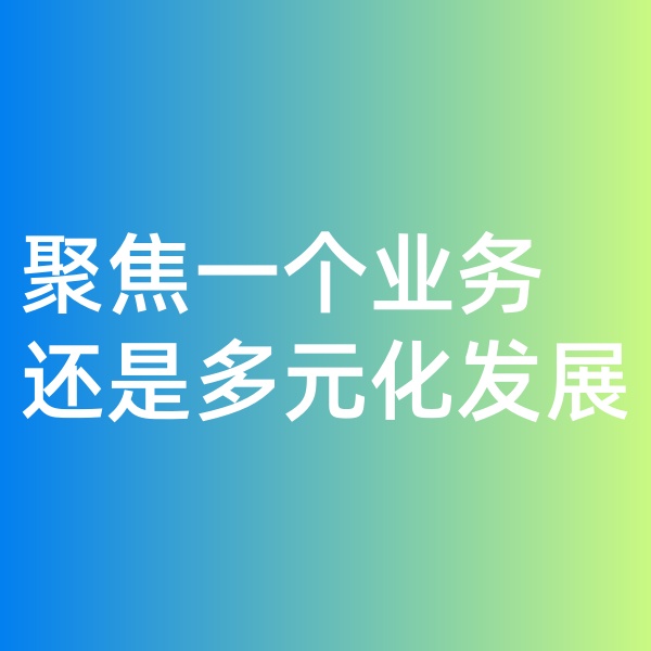 鈀碳回收, 聚焦一個業(yè)務(wù)，還是多元化發(fā)展